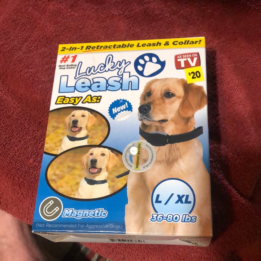 Dog collar and leash